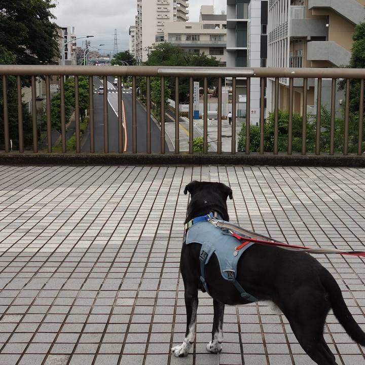 9f724ce7 d7e3 45ef 878d 84a99f6e6733 1717982078961