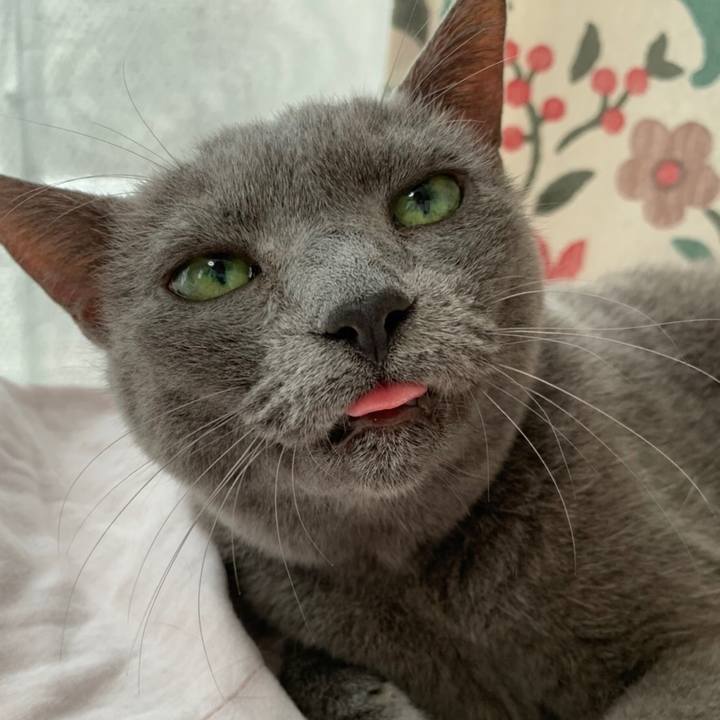 9f725cbd 2fd1 4bed b831 18d0eee2ee5d 1598667613066