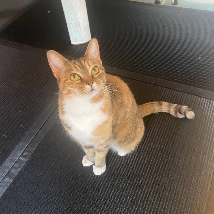 9f729216 05ae 40be 9071 ab58fab27a12 1588381703796