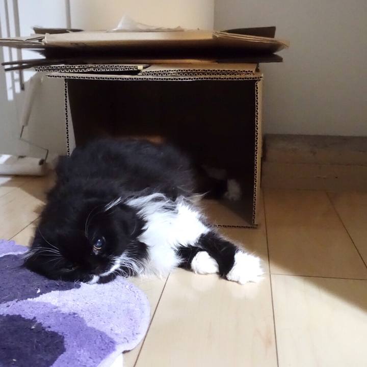 9f729c91 6e03 4867 a6ee ba58a0562b8c 1525311441237