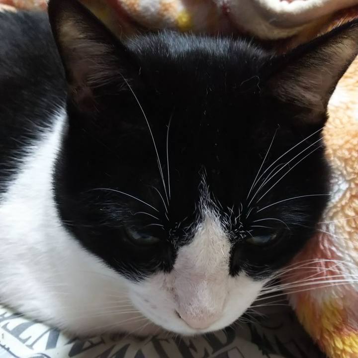 9f72e4be fcbf 4fdf a23f 2d66cbfb756e 1572213479364