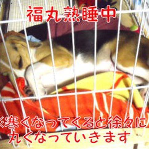 9f72e91e 9e19 4c9f 8372 5513412f1252 1682821386422