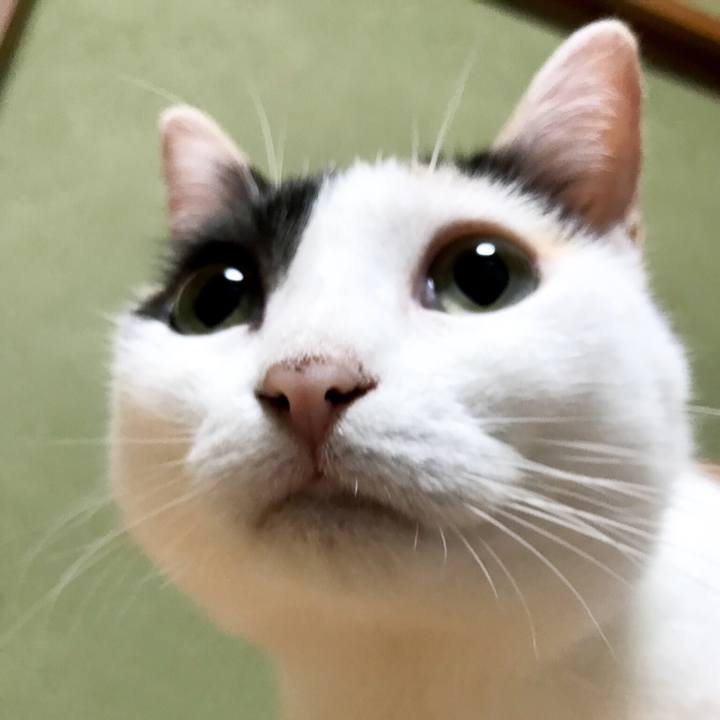 9f72f5f5 09b8 479c aaf1 92623cdd67e8 1533651752229