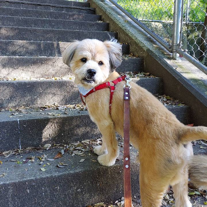 9f73146e b9d1 4ea7 ba9f 2b8cbe3f0bf6 1619346962657