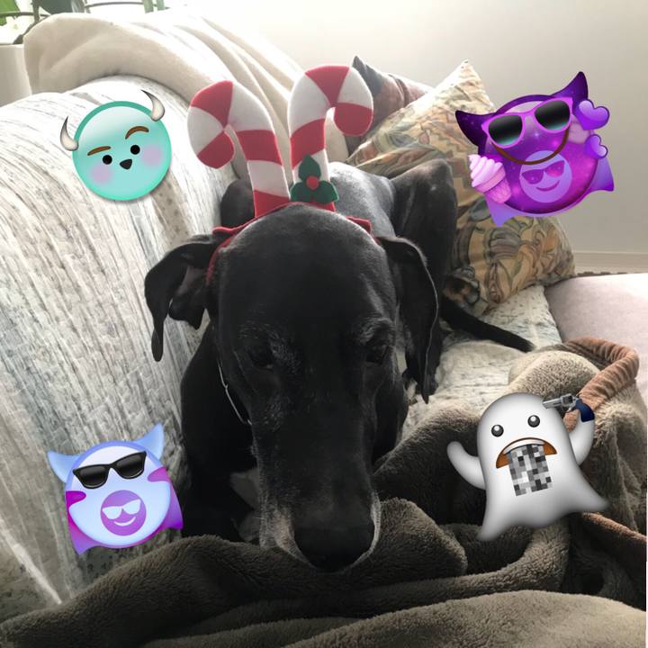 9f7315d9 2ded 4fb1 8101 f0027f161bee 1509421182880