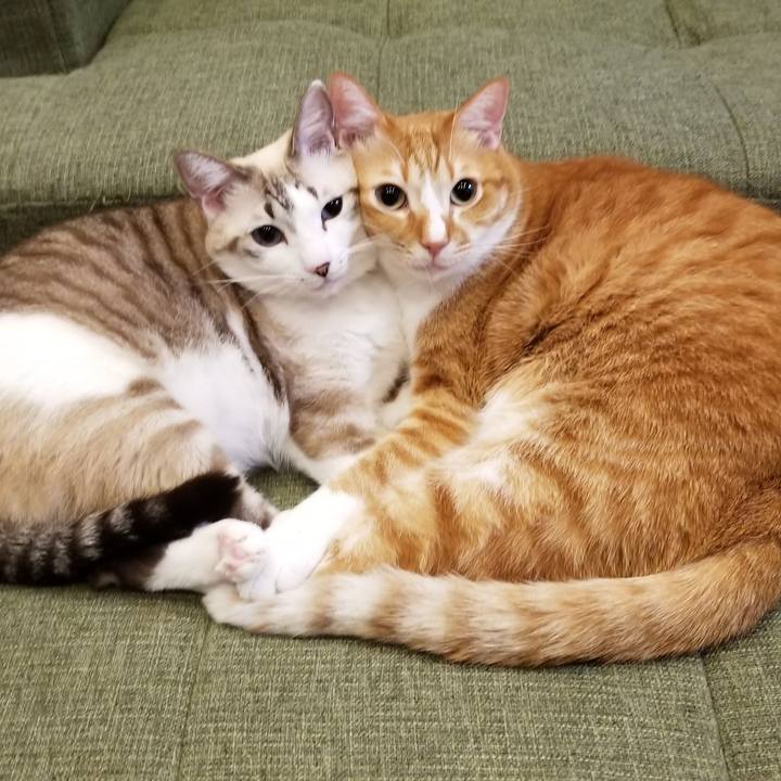 9f731bf0 54bc 4e7d 828e fc080b67b1a6 1582463785179