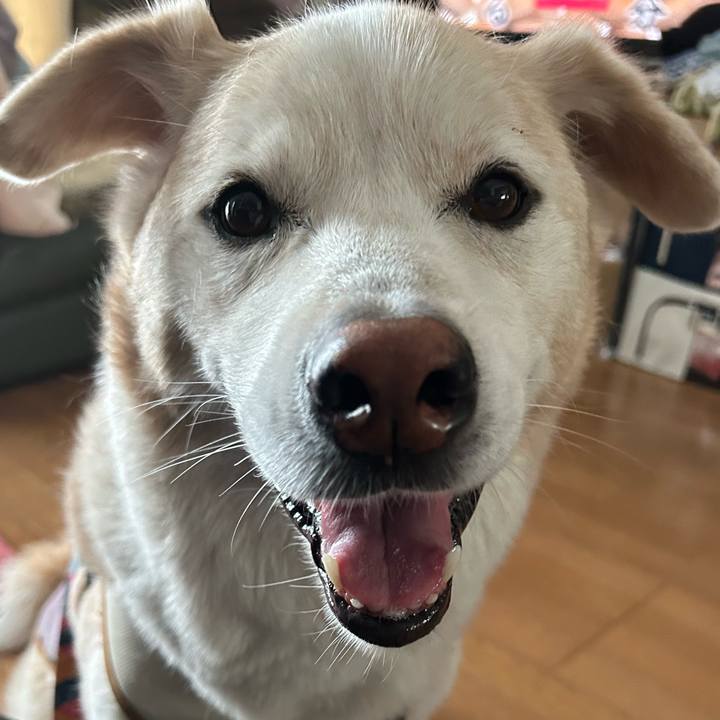 9f7386f5 303a 47a3 aa87 11bcd60290b2 1692833738765