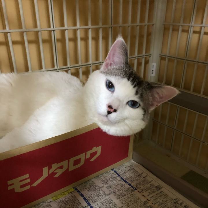 9f738c62 7dd2 44bb b2c7 f6165e45d195 1585141467329