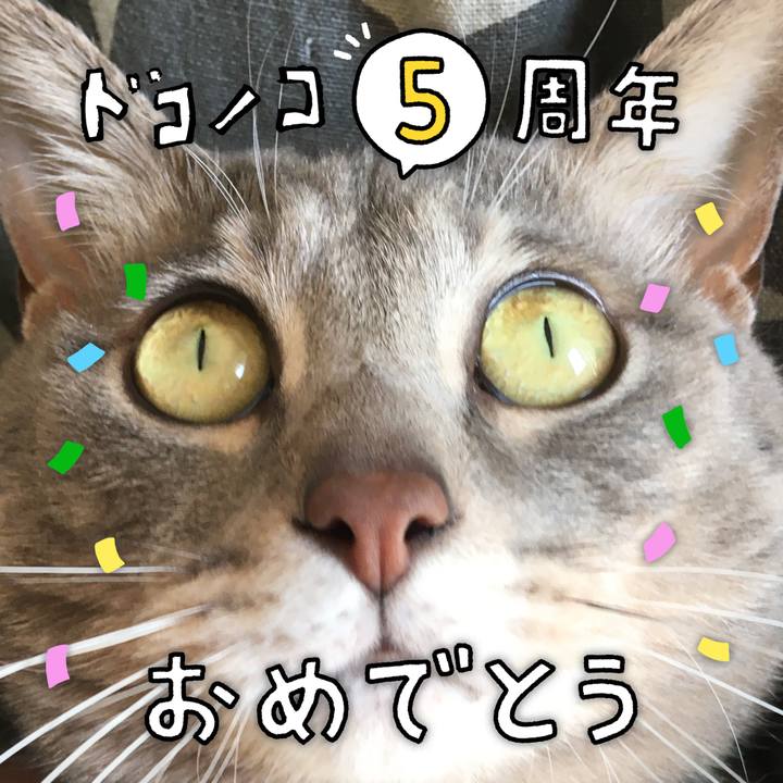 9f73b0e8 c394 4444 bbf8 7dc3d5f73485 1623535286659