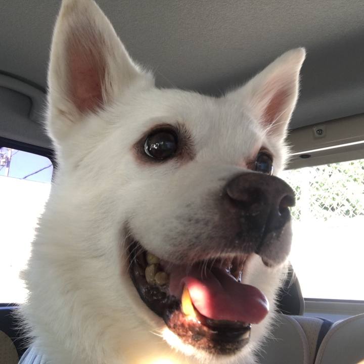 9f74073b 685f 433d 872e 18f53f942bc1 1527929926861