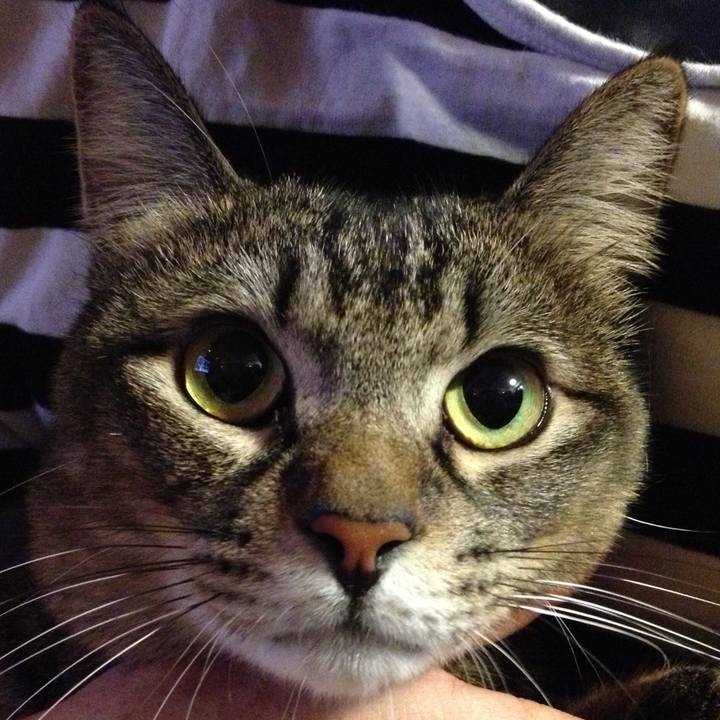 9f741f8f 218e 4c1f 8fbd f62c3cb07696 1511823730213