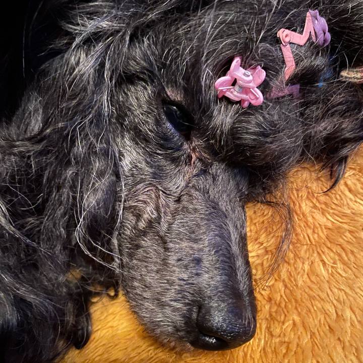 9f742a64 26b8 4510 a574 5acb47412907 1671969121761