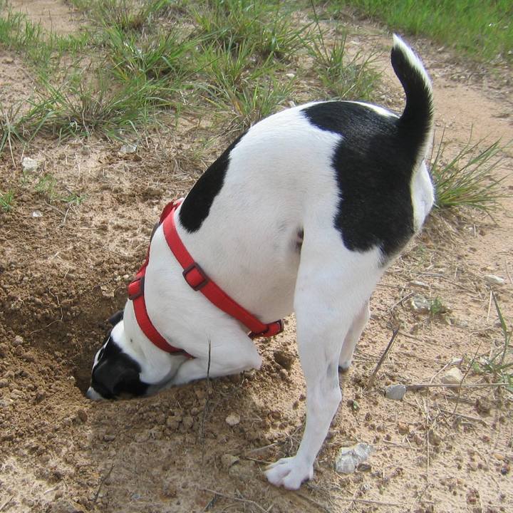 9f746c66 be78 49ba 923d 7d418f647d18 1647036660523