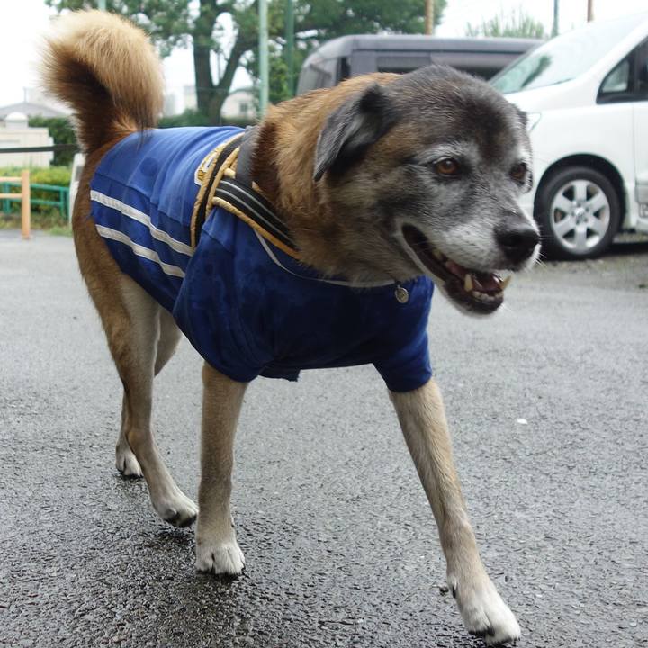 9f74afd2 b928 48de 9008 8606f440ffab 1647907834656