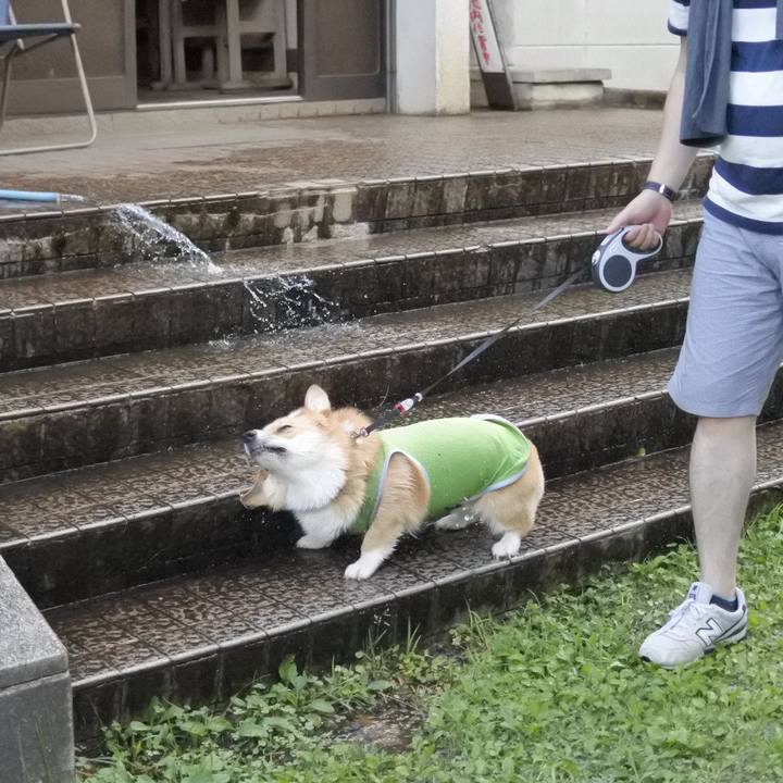 9f74deac 434b 4305 b503 fa85c2530625 1534380557663