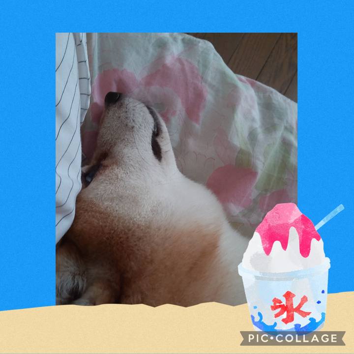 9f74f360 6c6e 461b 9ee4 f4592c90ec0f 1754377762875