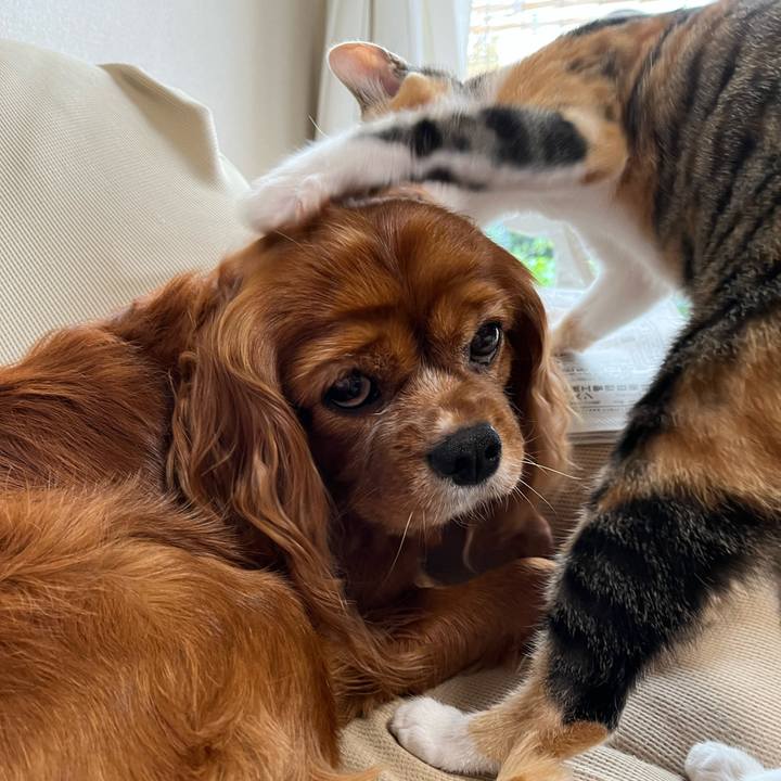 9f74ff4d 7e2a 43e1 92c1 8fa8c1e22d19 1658102210024