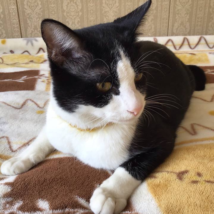 9f75031c 7cc1 49e0 929e ac9f8ddd2cd6 1648445738581