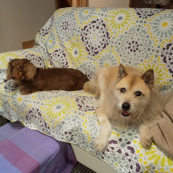 9f75197a c460 425c 9067 6d56eb8fbdb8 1556196184160