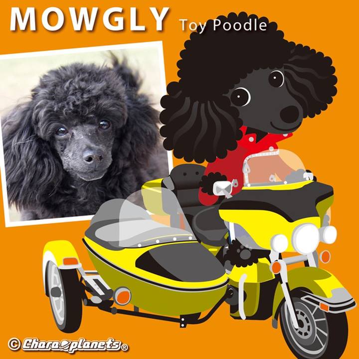 9f751ded 7c97 4a24 9e6e 75a41e827085 1566109995878