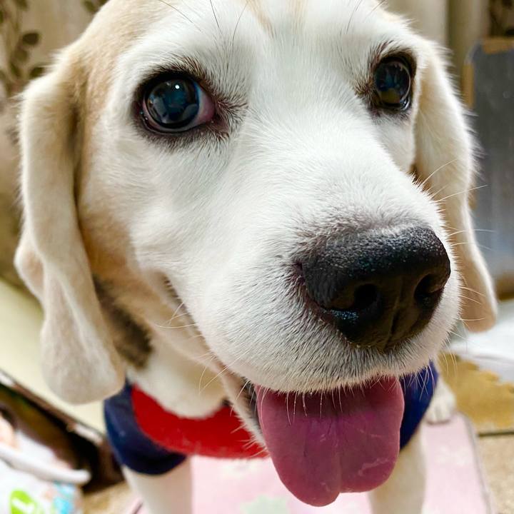 9f7527a4 30bb 4a09 895a 6a3b72eee84d 1651032107056