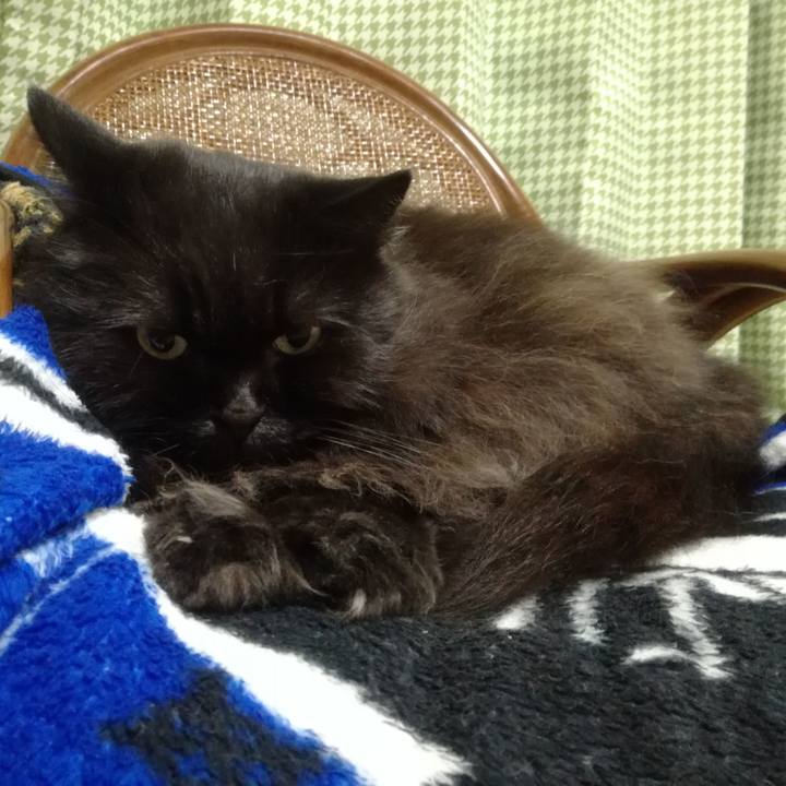 9f75914c 3e73 4efe 996f 793ea3f73a3b 1508373160521