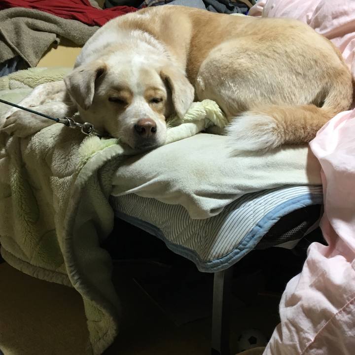 9f75943e bde4 4cde 952b 522b3a29584c 1517143153184