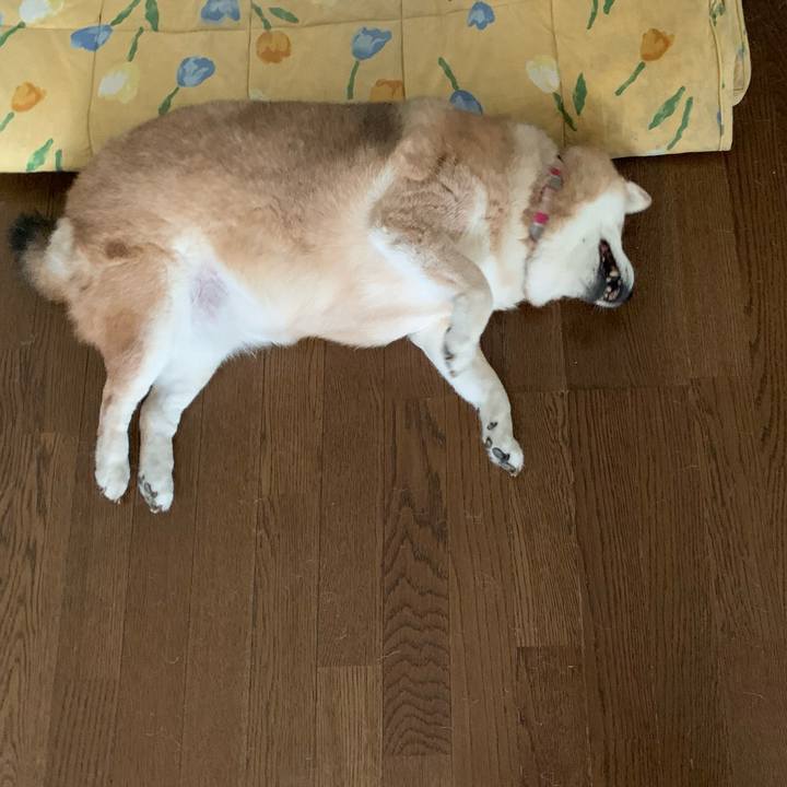 9f75c732 91ed 4fb3 a2d5 89a0114dc408 1625528372404