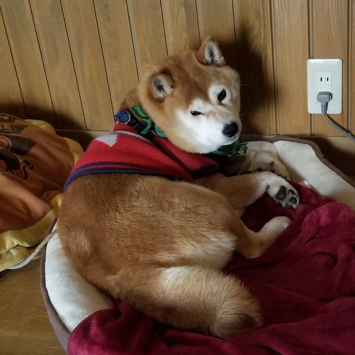 9f75ccc7 e613 4975 89fd c137041e357a 1554154651364