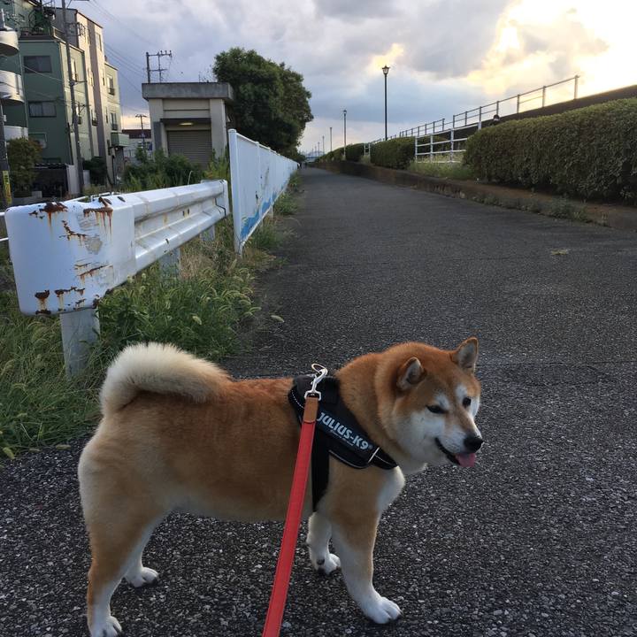 9f75edbb 17ab 451e 97b0 346e7c2721b4 1599294091839