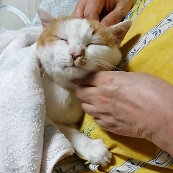 9f75fe34 7874 4c75 a08e b1529015e56f 1529486074259