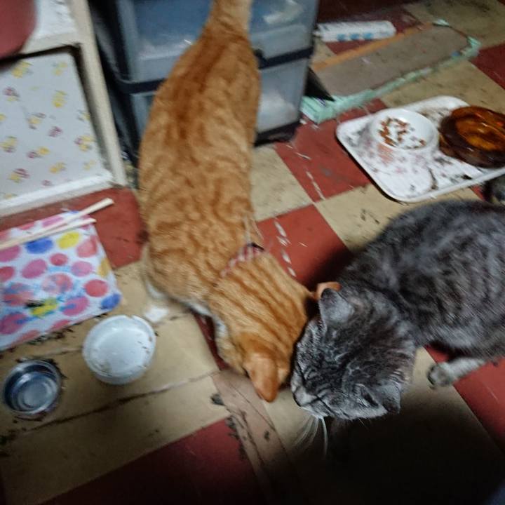 9f76267e d13a 4247 aada 0fd730037cc7 1567539991950