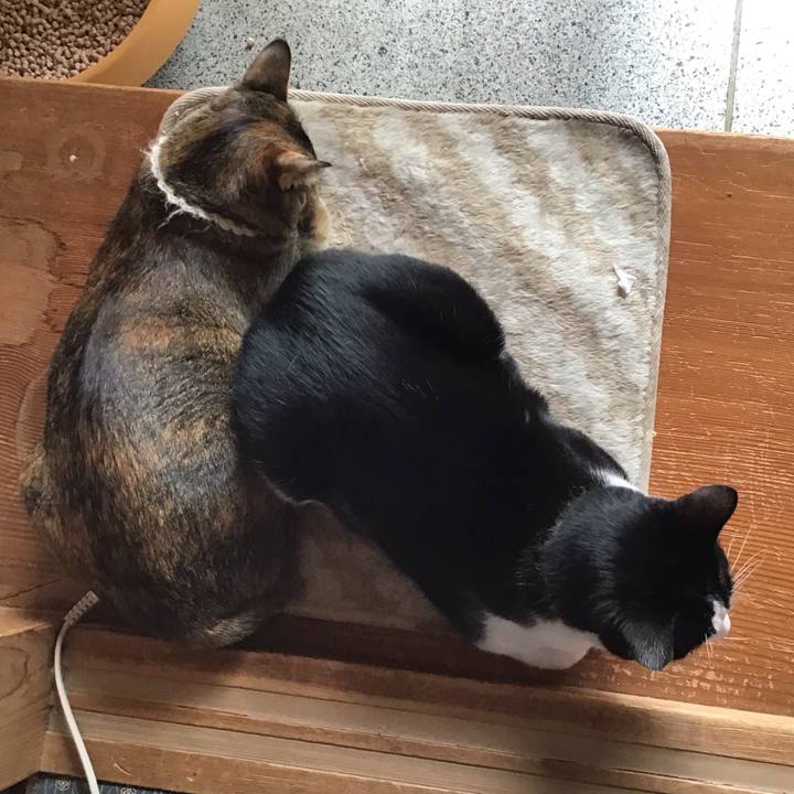 9f769623 d590 4ee2 87cf 399dea64eda1 1647831211320