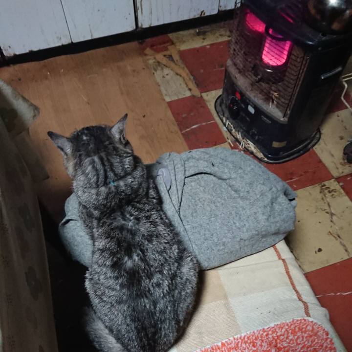 9f769a6f 1e99 462e a17b 692d97871c71 1576021351574