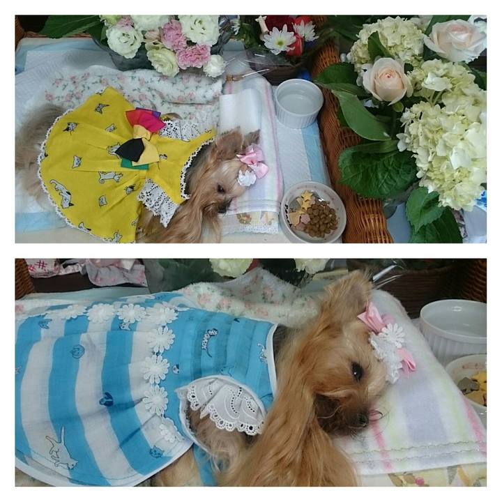 9f76ac04 56bf 42fe a179 3e7503b10eaf 1534111377241