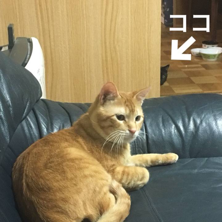 9f76f58e aee9 40ce bb78 985d6abb2dfb 1532243495012