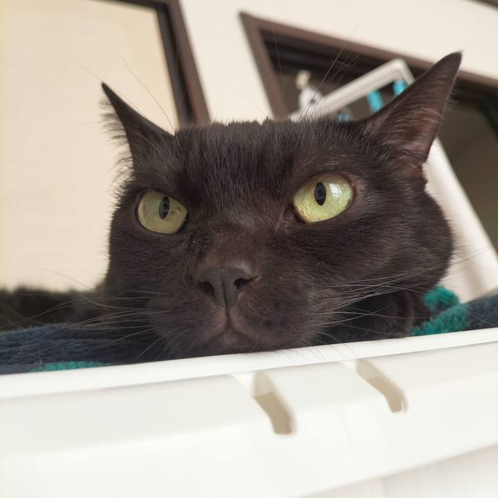 9f775b63 9af8 4283 a8db a381cbed9d3a 1671321055839