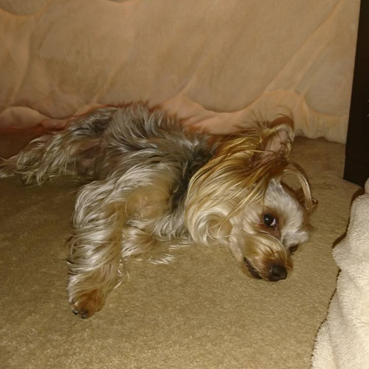 9f776101 549b 4ec5 8dbb 5683e0470dec 1548549548331