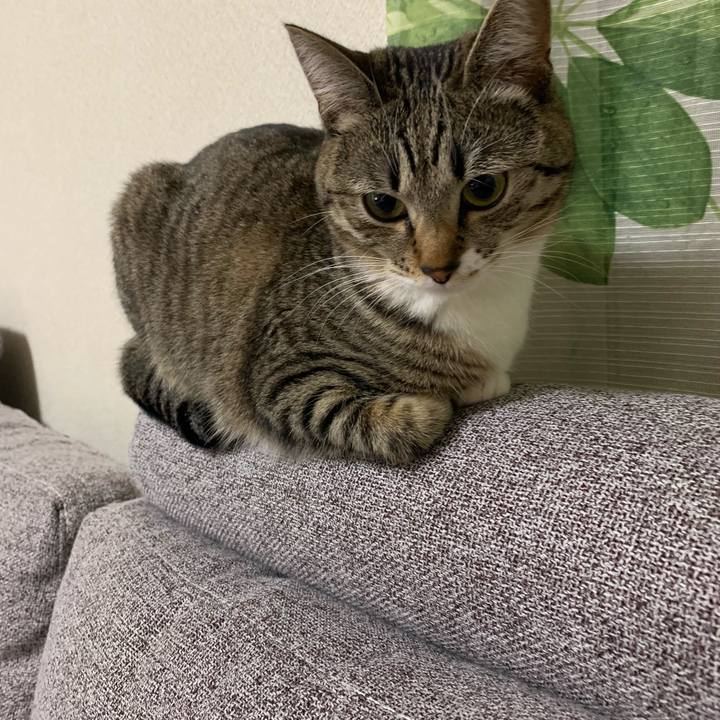 9f77e3df f8c4 4f9d 9dff 0aa4e6f7c084 1545744694735