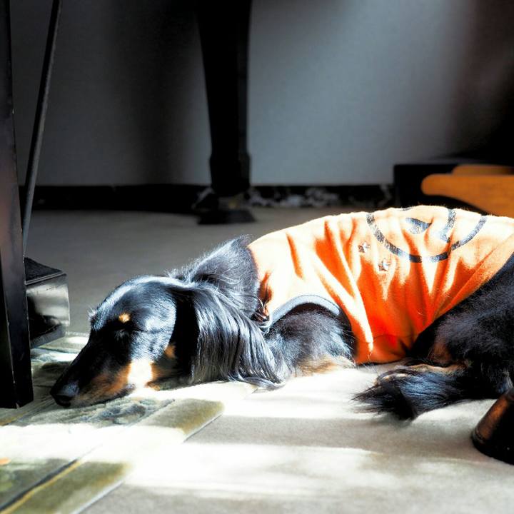 9f77e9fa 2cb3 4947 8d75 5e7a6f2ec207 1572229516171