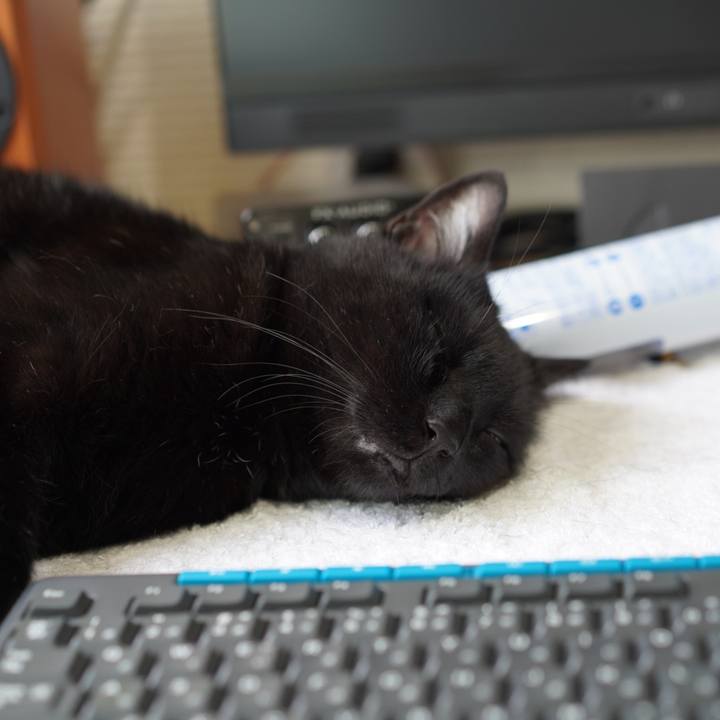 9f781185 c6b6 4abc 9dcb 989eb2ee1075 1624336598439