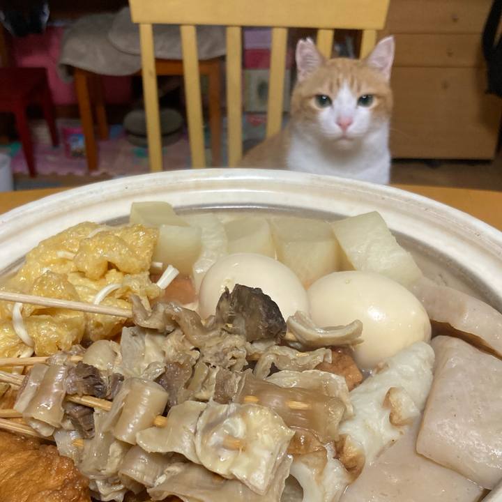 9f78342b f32c 4549 8154 e9f9ed99ee8c 1761393124343