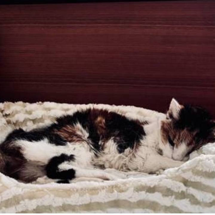 9f78b54f 0656 4b7e 946e ca92774ba50d 1747662886647