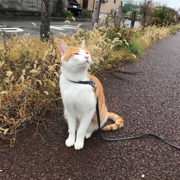 9f78b934 f4e5 4df1 b9da dae17b1db166 1511493330864