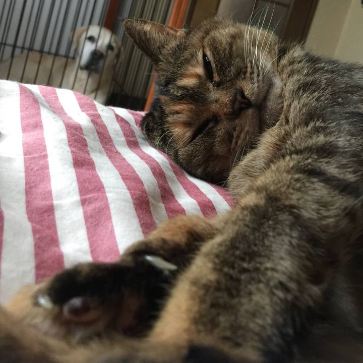 9f78cdf7 5c78 443f 8ea9 63f3ac8078fb 1560219321528