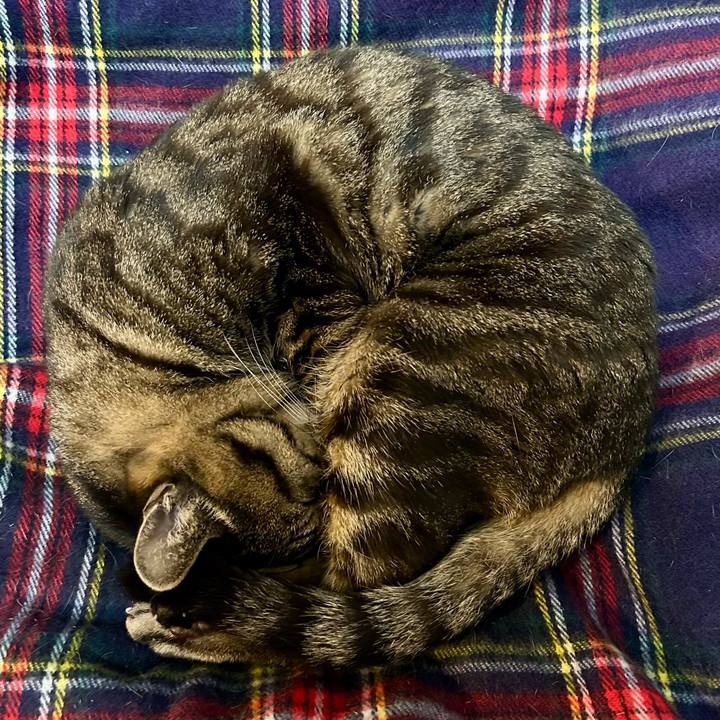 9f78fd6f 05f2 4b2f a263 bfe9ca9295b6 1772920794879