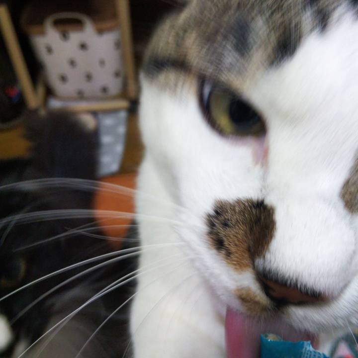 9f790e00 6a77 4603 8aa8 2a34c61d6487 1658583870799