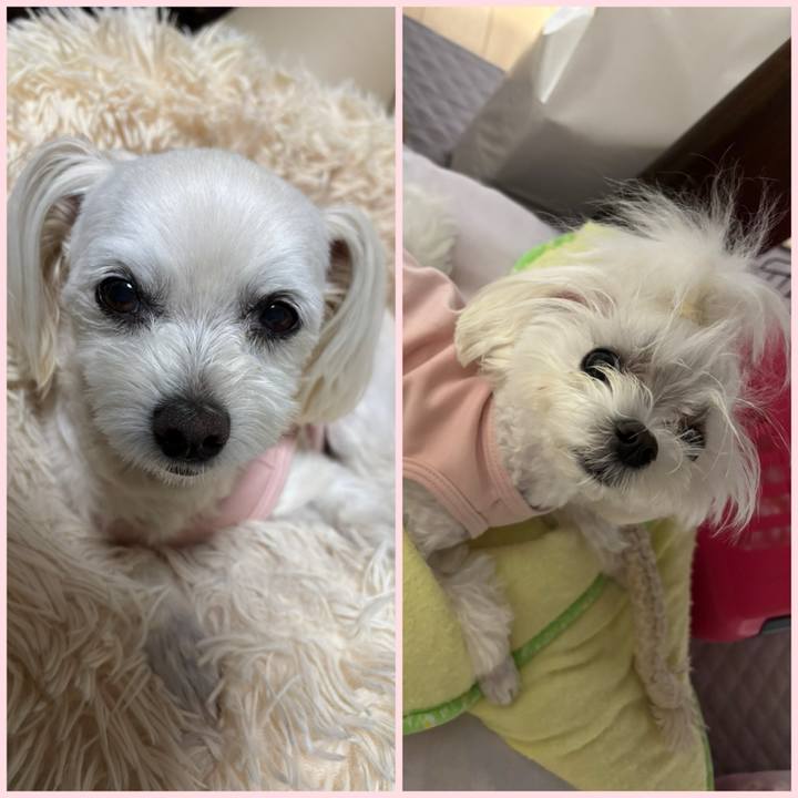 9f794432 69cc 4188 bfbf 9116e80c7f39 1749555415663