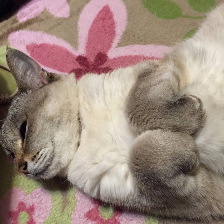 9f79be8f a4ee 4cf0 9a54 ac2de0cfd8ac 1520687761143