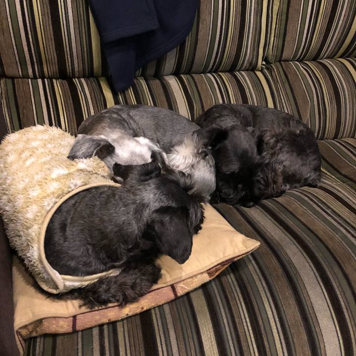 9f7a1e58 1880 4177 bb37 2802536784cd 1514295552259